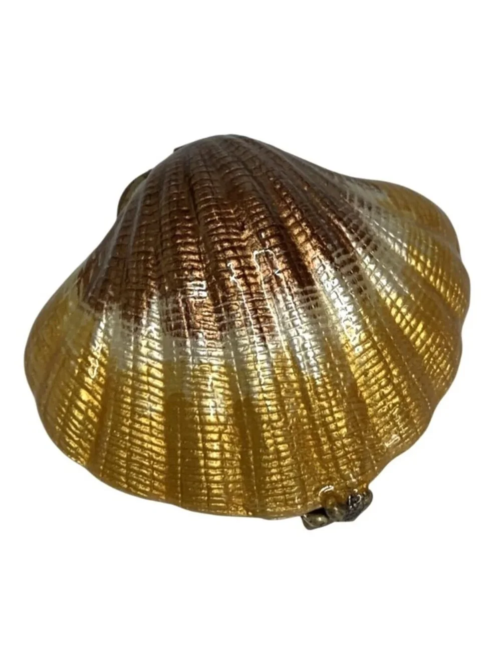 Decorative Clam Seashell Trinket Box w/ Jeweled Rhinestone-Accented Oval Frame
